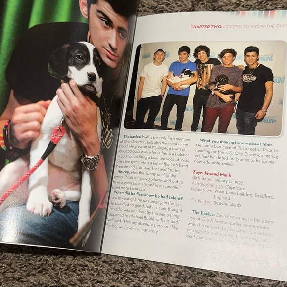 One Direction Book - Picture 3 of 6